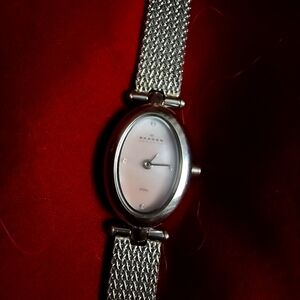 Womans danity beautiful skagen watch
